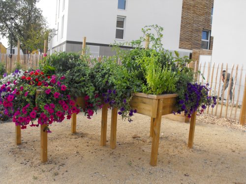 Concours du plus beau jardin en pied d’immeubles.