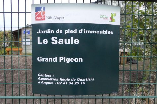 Le jardin du Saule fête son 10 ème anniversaire !