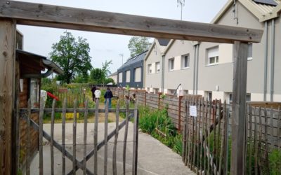 Réouverture des jardins en pieds d’immeuble dans les quartiers prioritaires d’Angers