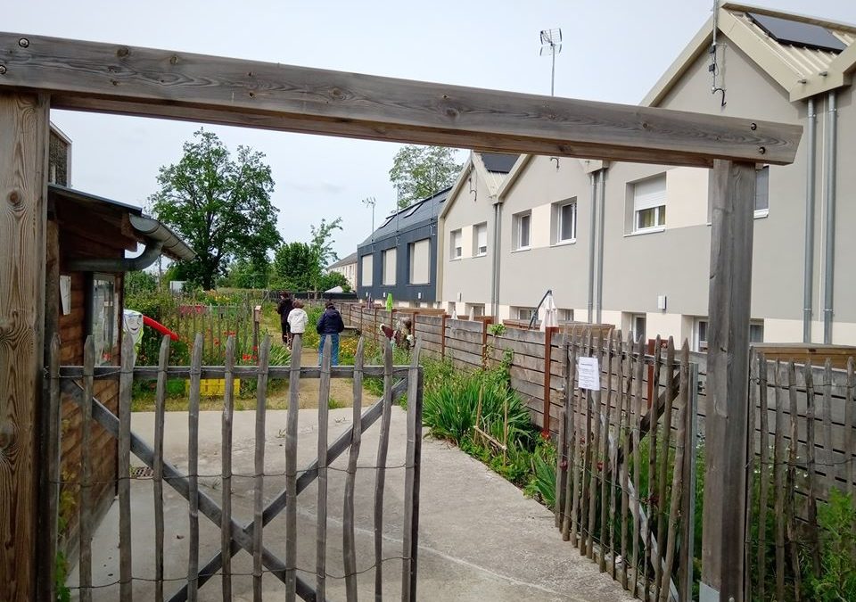 Réouverture des jardins en pieds d’immeuble dans les quartiers prioritaires d’Angers